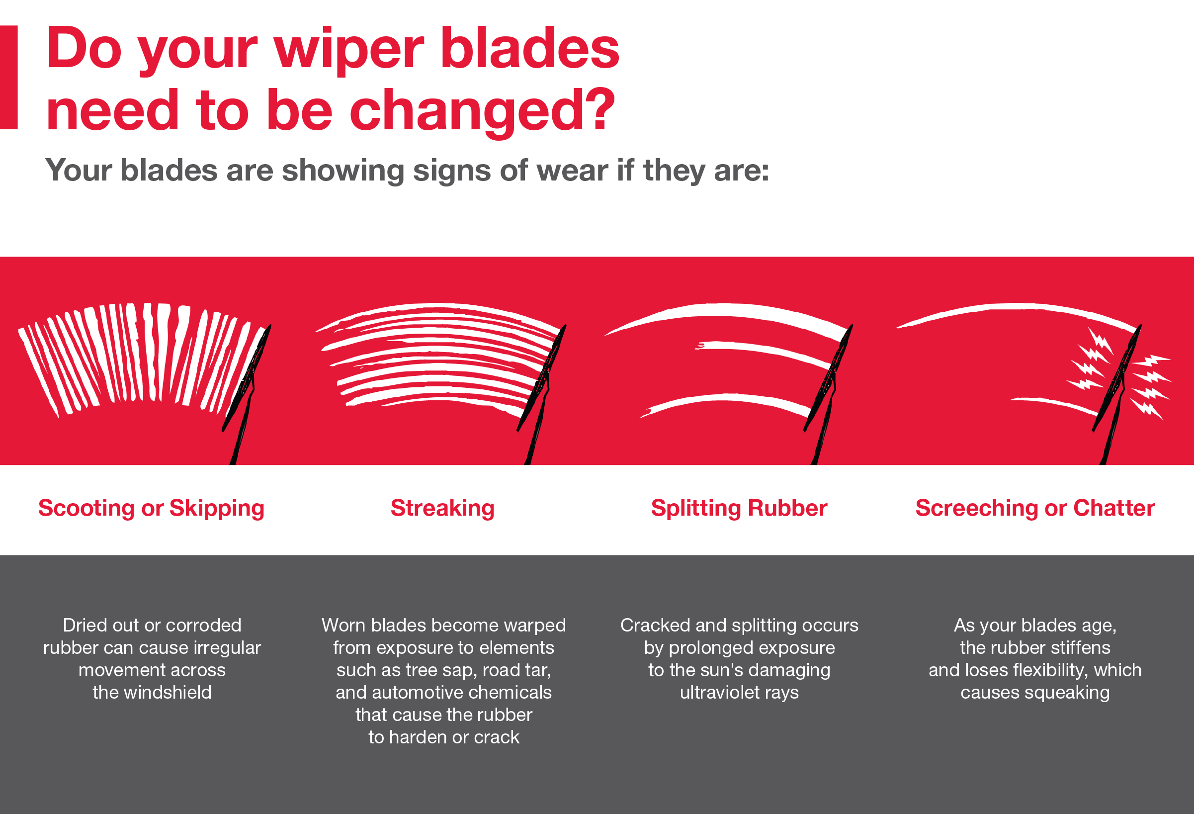 Do your wiper blades need to be changed | Butler Toyota Jacksonville in Jacksonville FL